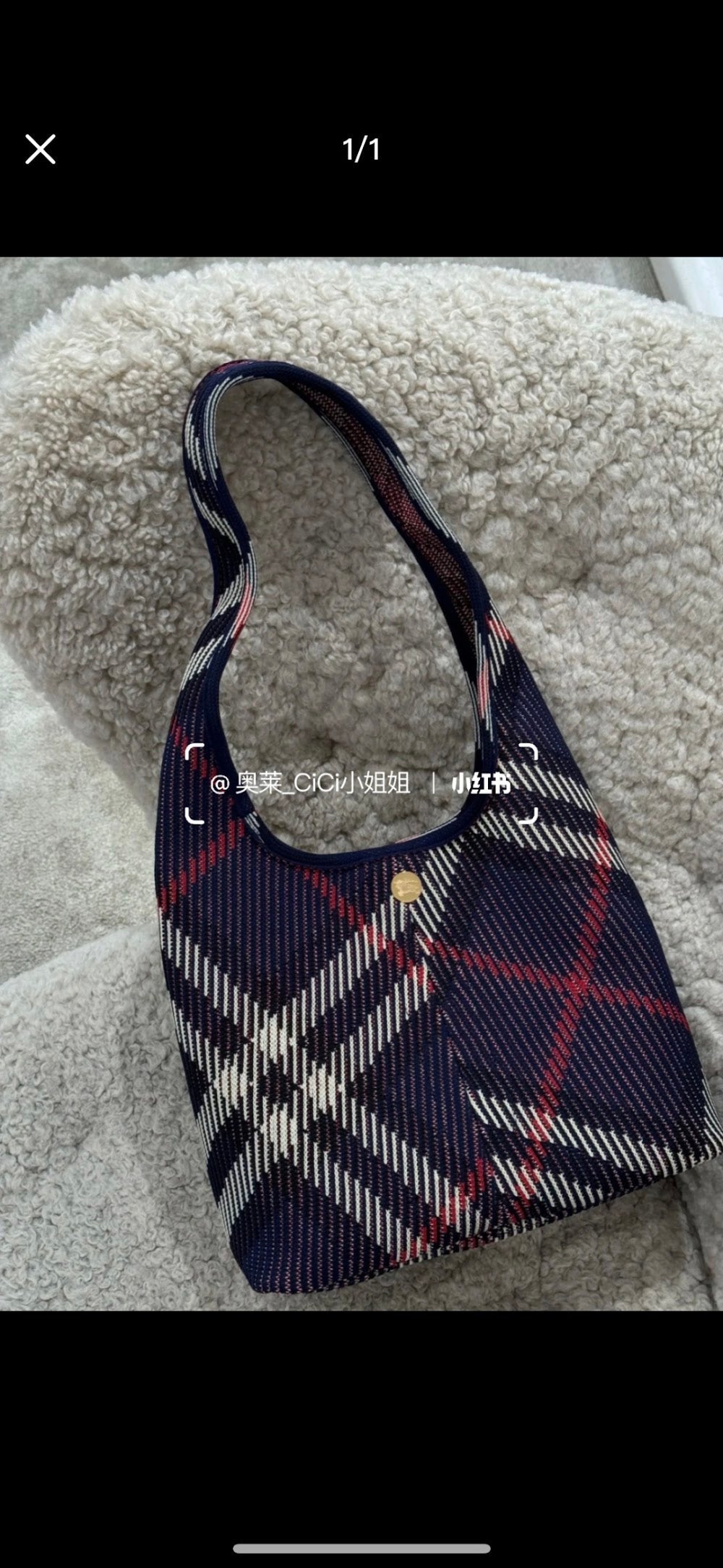 Dragons Bags Burberryn Luxury Bag --91828