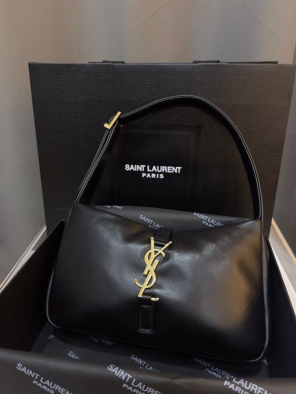 Dragons Bags YSLn Luxury Bag --119093