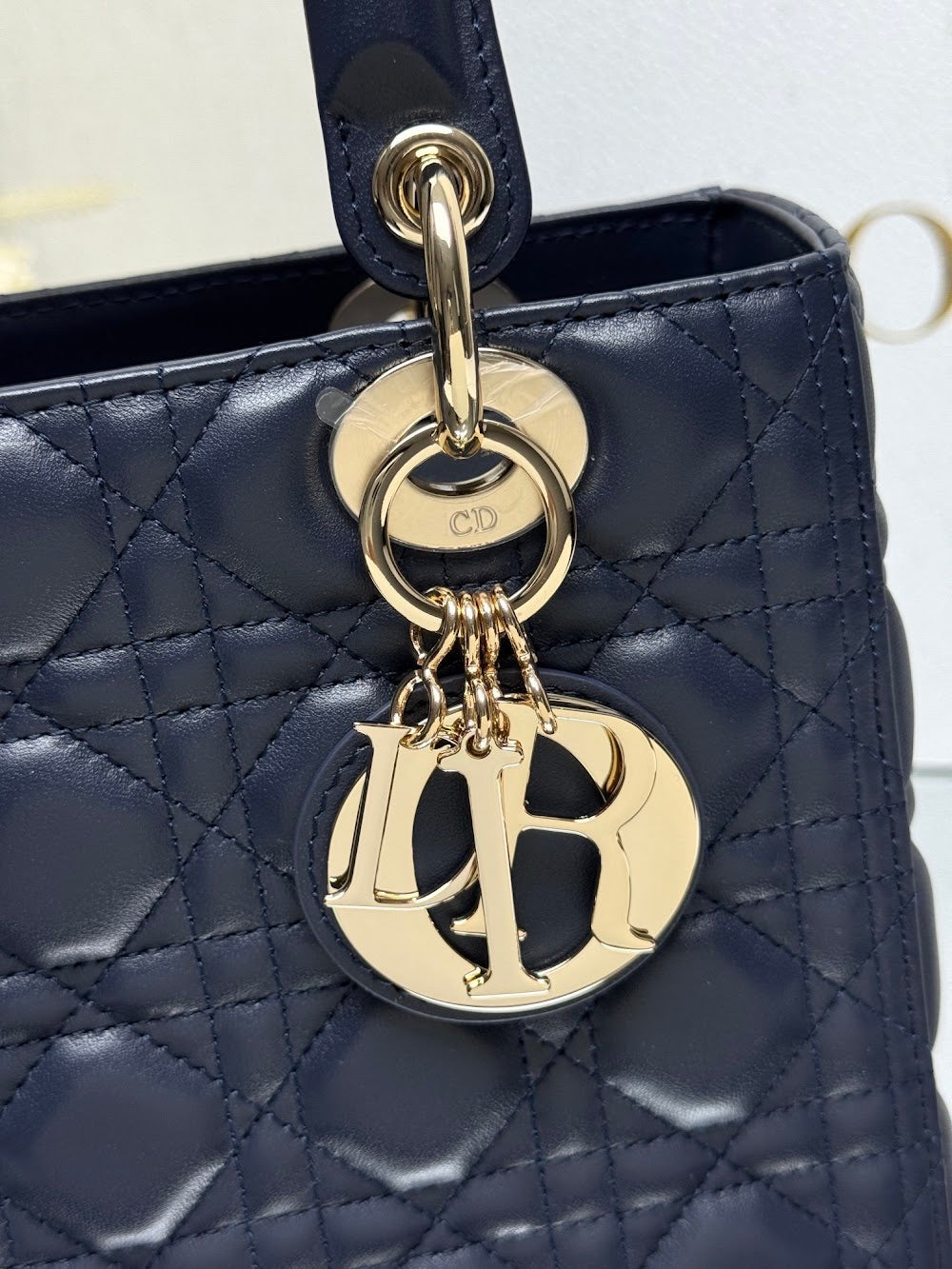 Dragons BagsDiorn Luxury Bag --116018