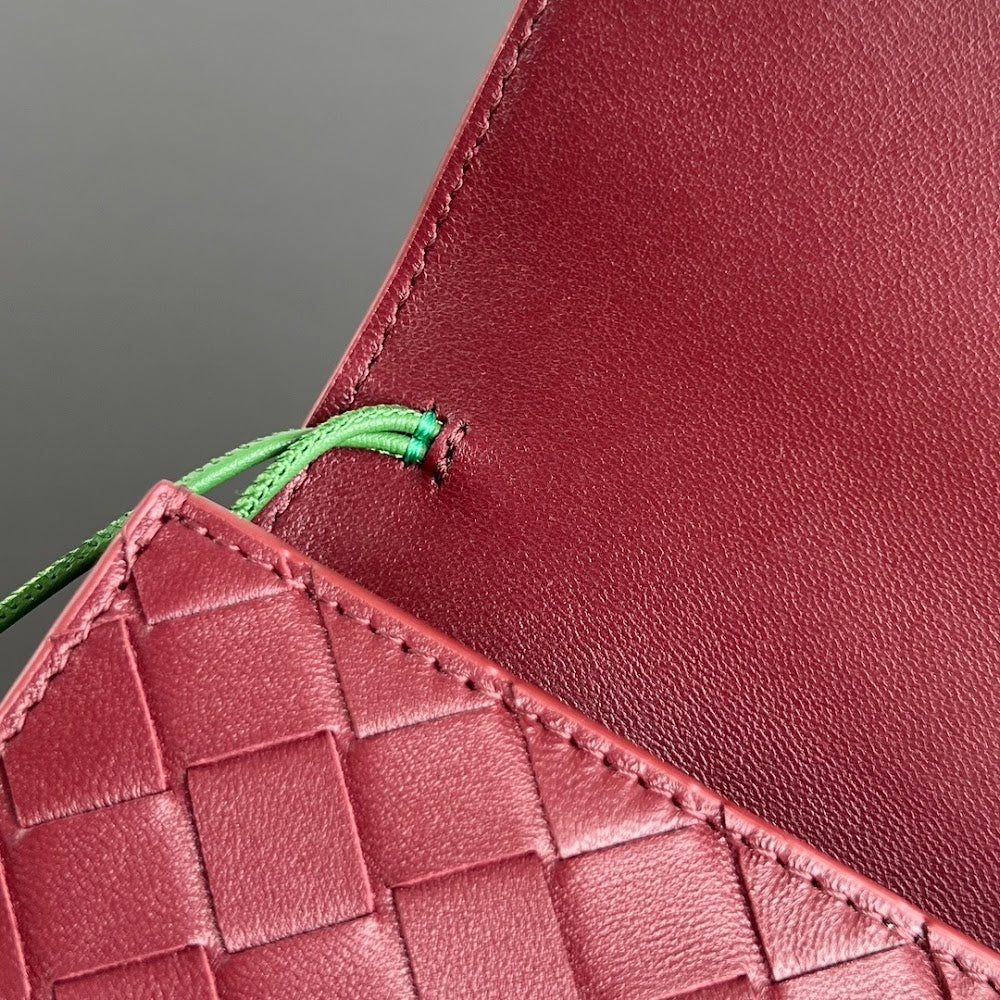 Dragons Bags Bottegan Luxury Bag --90293