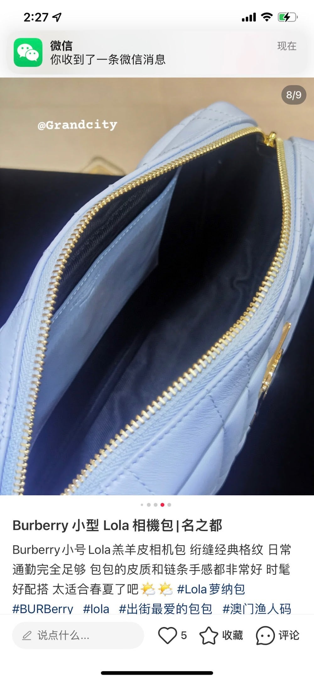 Dragons Bags Burberryn Luxury Bag --91676