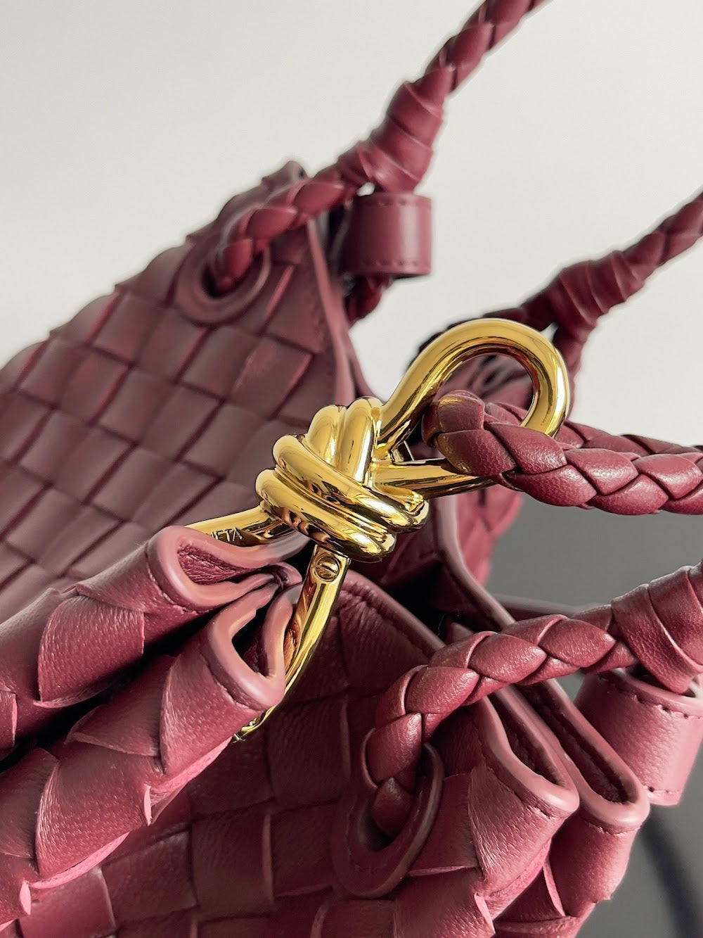 Dragons Bags Bottegan Luxury Bag --90956