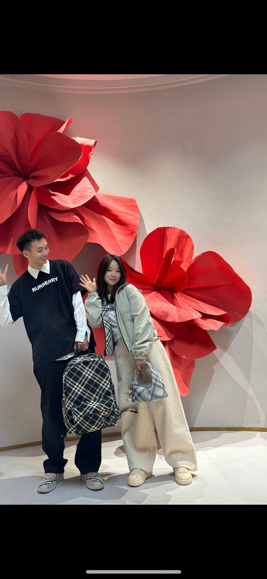 Dragons Bags Burberryn Luxury Bag --93119