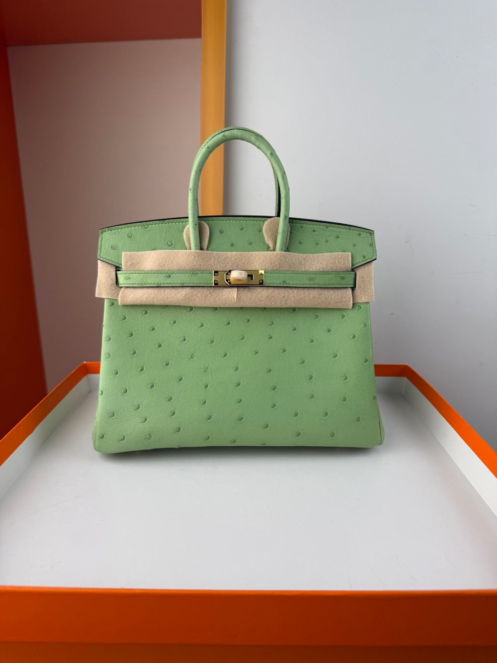 Dragons BagsHermesn Luxury Bag --116759