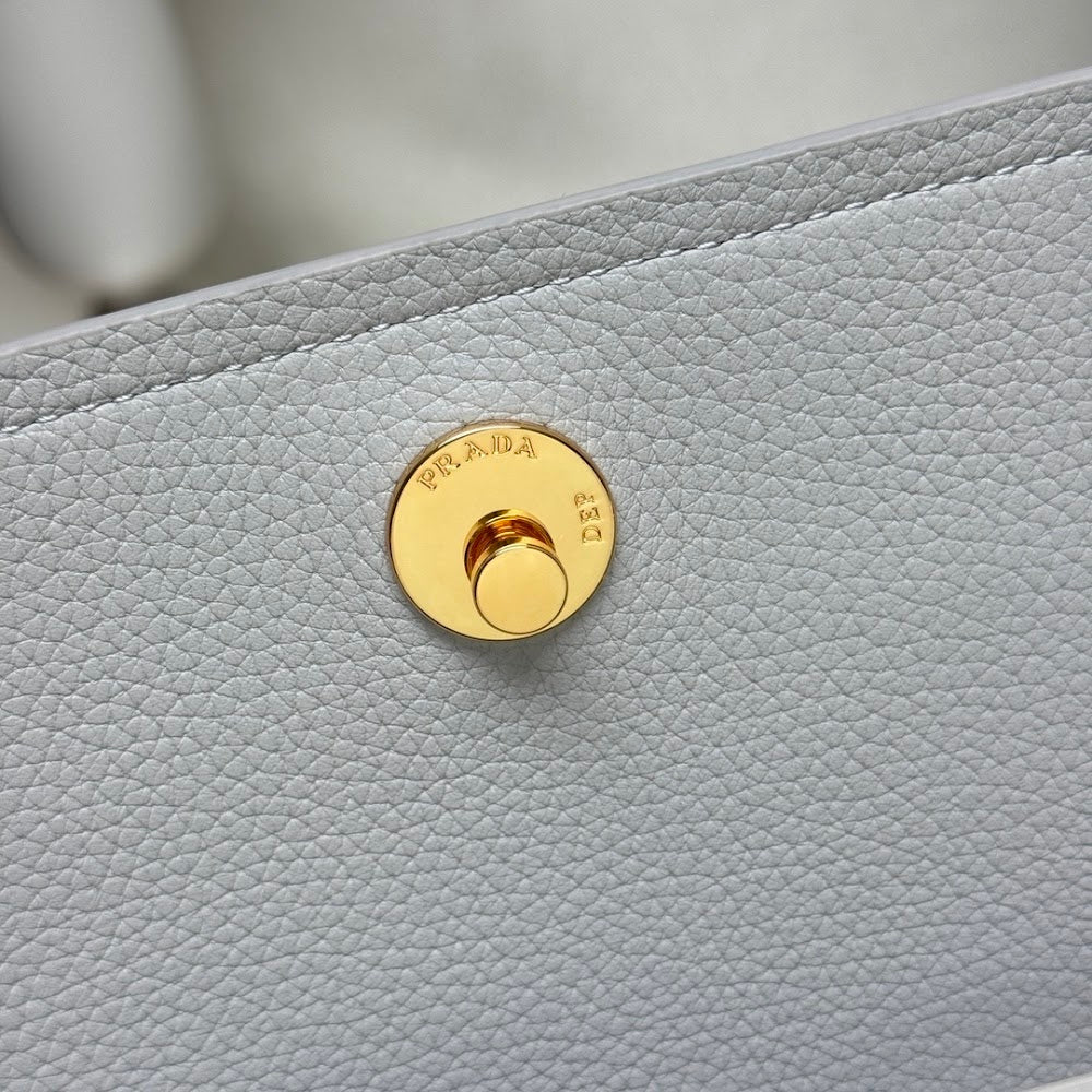 Dragons Bags Pradn Luxury Bag --102410