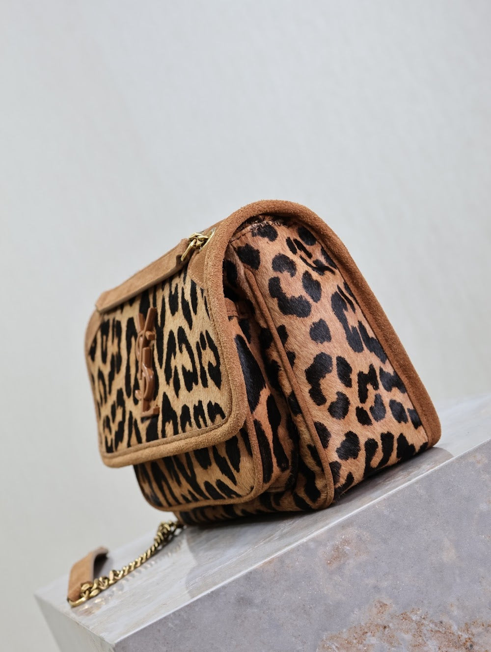 Dragons Bags YSLn Luxury Bag --119650