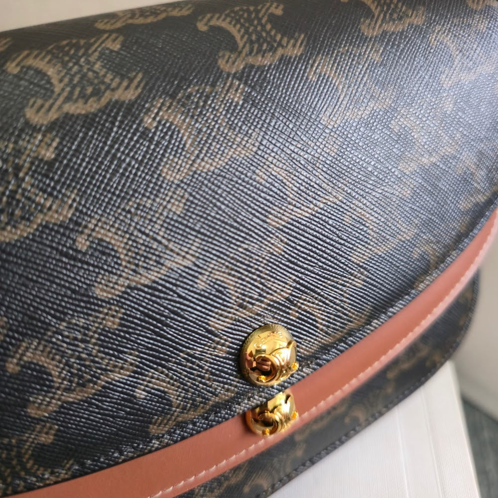 Dragons Bags Celine Luxury Bag --112540