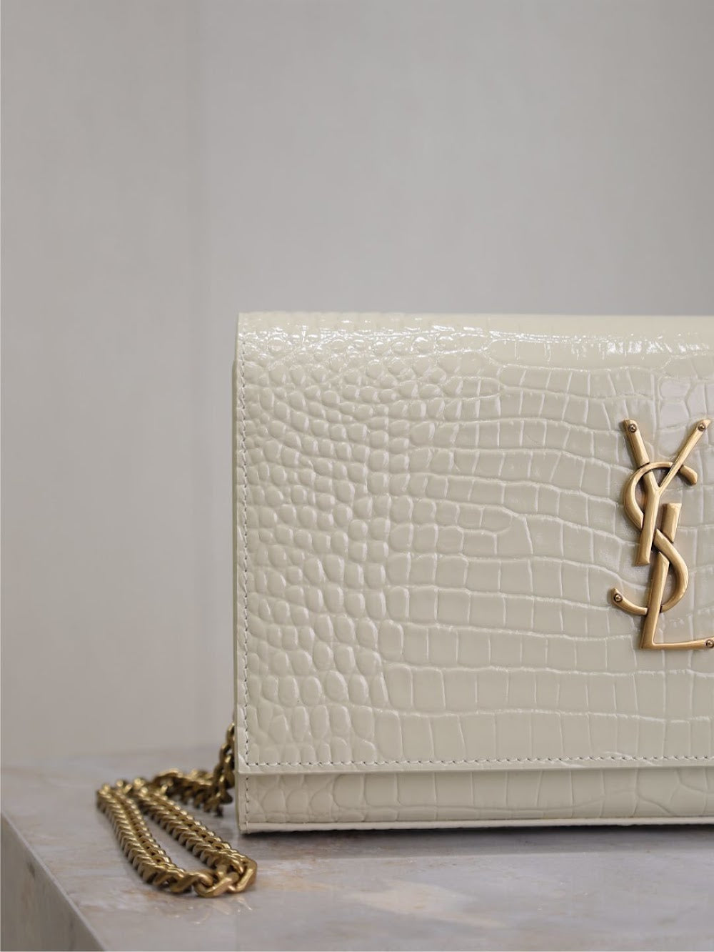 Dragons Bags YSLn Luxury Bag --119660