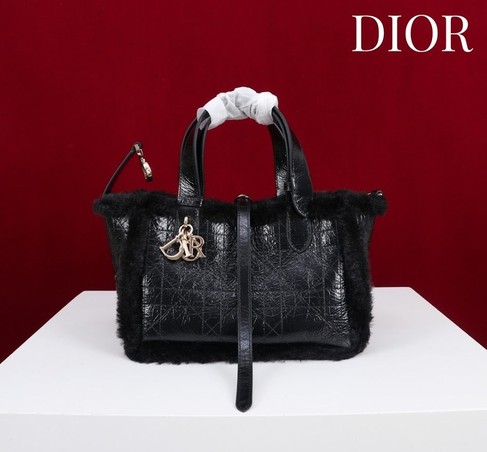 Dragons BagsDiorn Luxury Bag --116120
