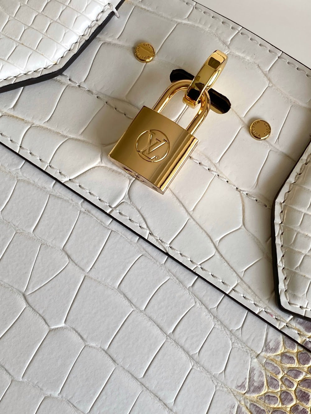 Dragons Bags ln Luxury Bag --96207