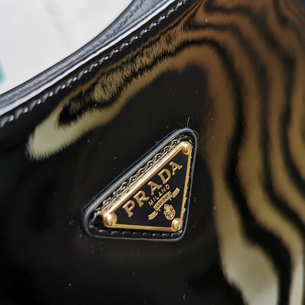 Dragons Bags Pradn Luxury Bag --102253