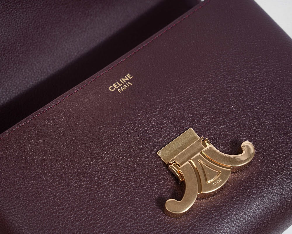 Dragons Bags Celine Luxury Bag --112333