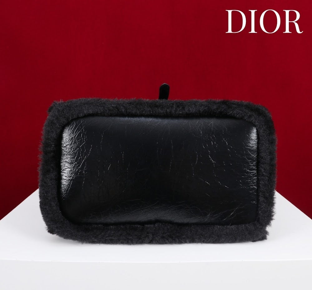 Dragons BagsDiorn Luxury Bag --116119