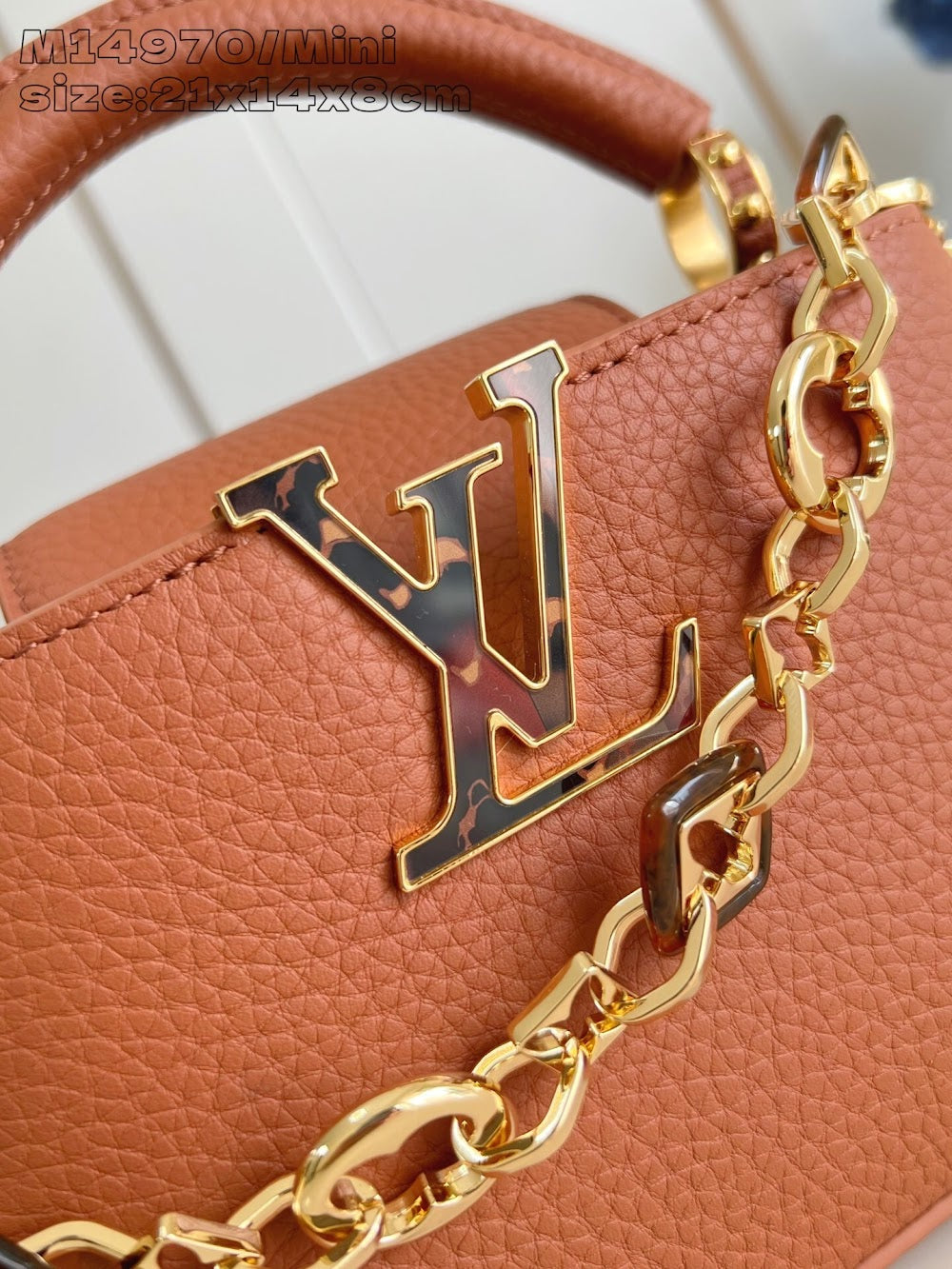 Dragons Bags ln Luxury Bag --97375
