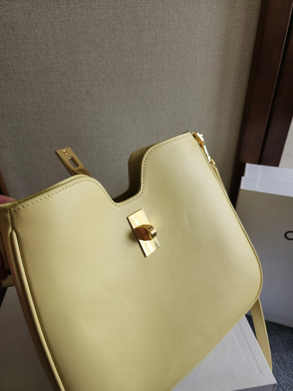 Dragons Bags Celine Luxury Bag --112207