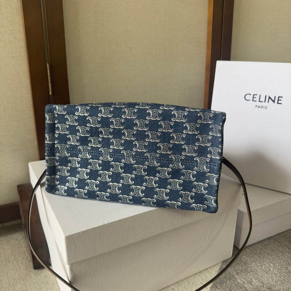 Dragons Bags Celine Luxury Bag --112233