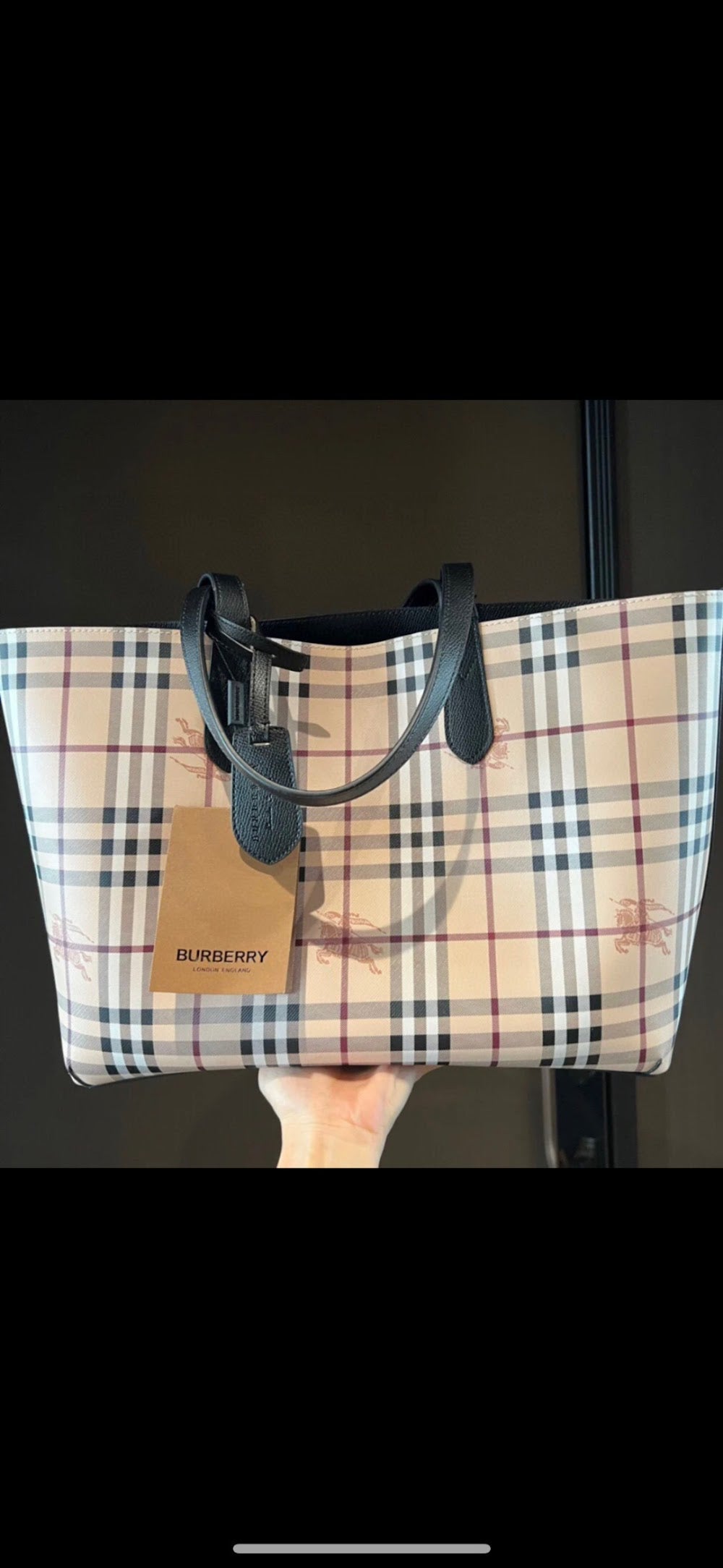 Dragons Bags Burberryn Luxury Bag --91688