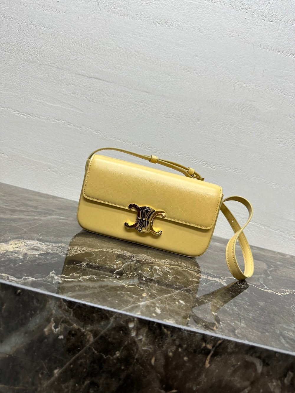 Dragons Bags Celine Luxury Bag --112424