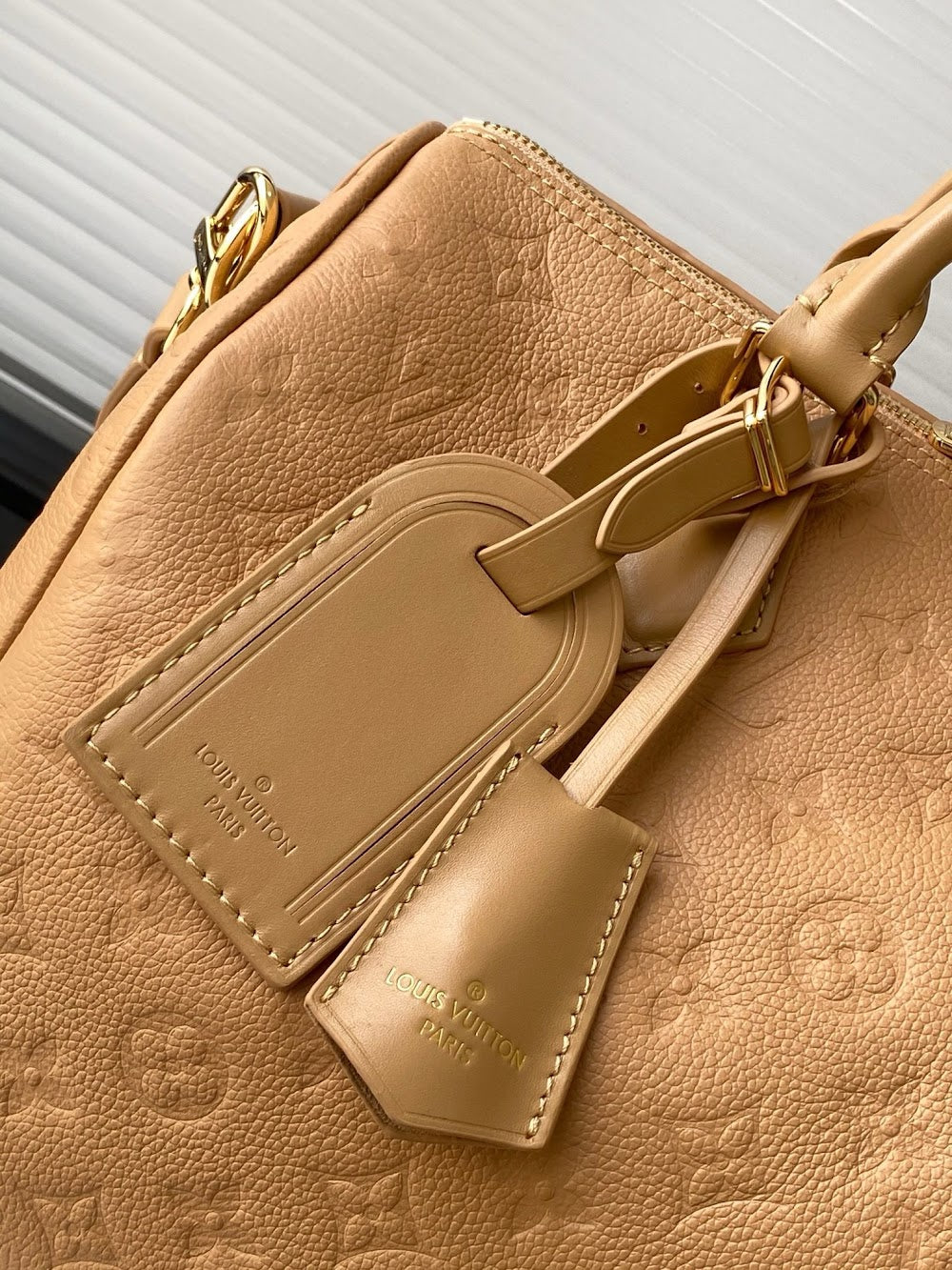 Dragons Bags LVn Luxury Bag --79638
