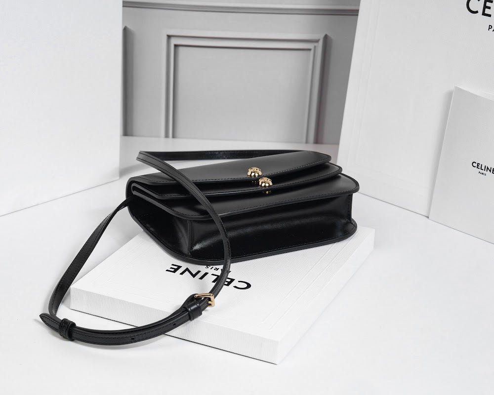Dragons Bags Celine Luxury Bag --112594