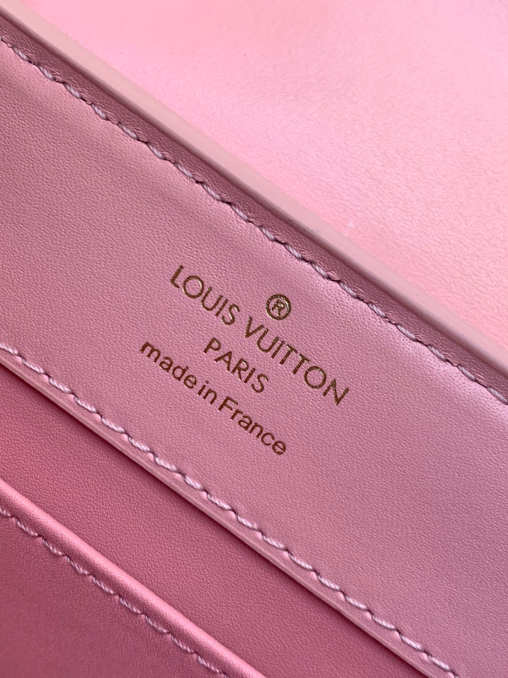 Dragons Bags ln Luxury Bag --96933