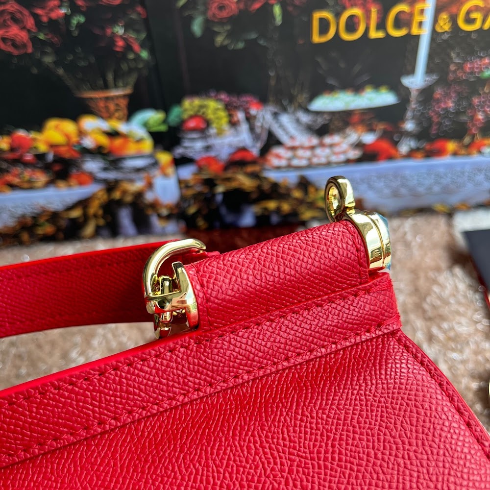 Dragons Bags DGn Luxury Bag --94119