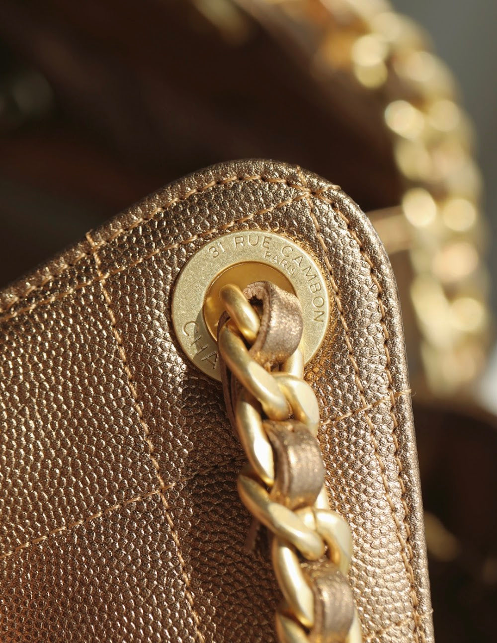 Dragons BagsCHn Luxury Bag --113720
