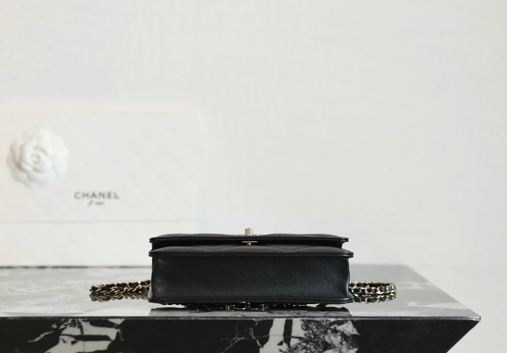 Dragons Bags CHn Luxury Bag --113591