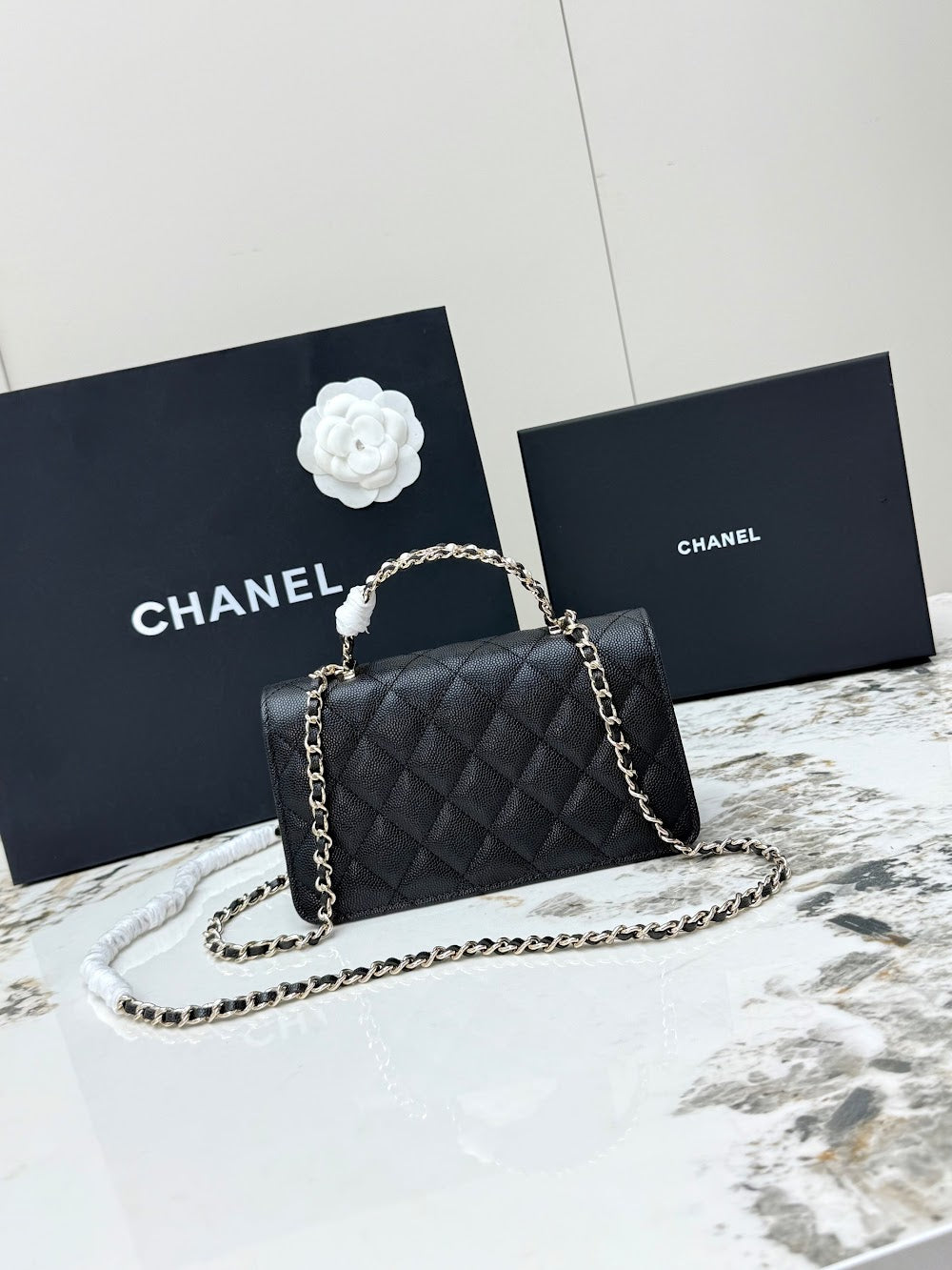Dragons BagsCHn Luxury Bag --113929