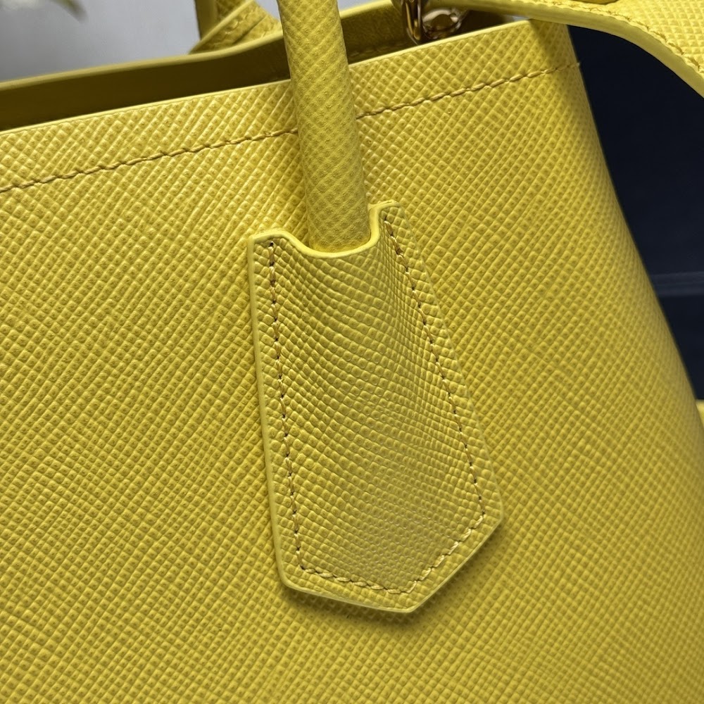 Dragons Bags Pradn Luxury Bag --102318