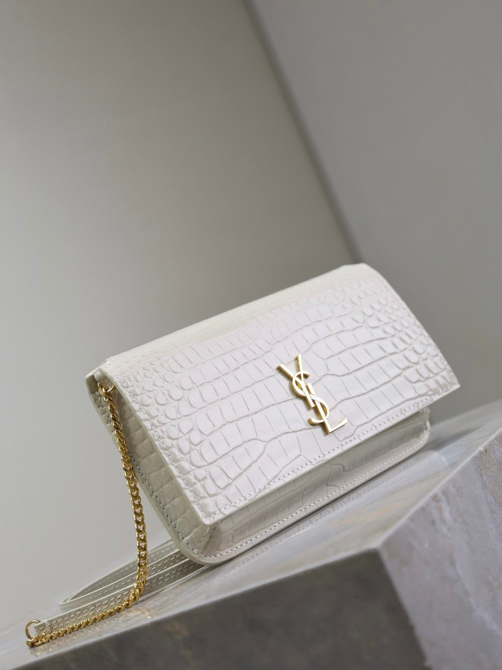 Dragons Bags YSLn Luxury Bag --120475