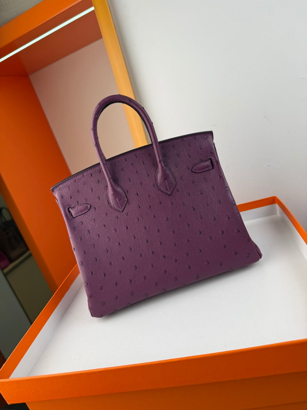 Dragons BagsHermesn Luxury Bag --116760