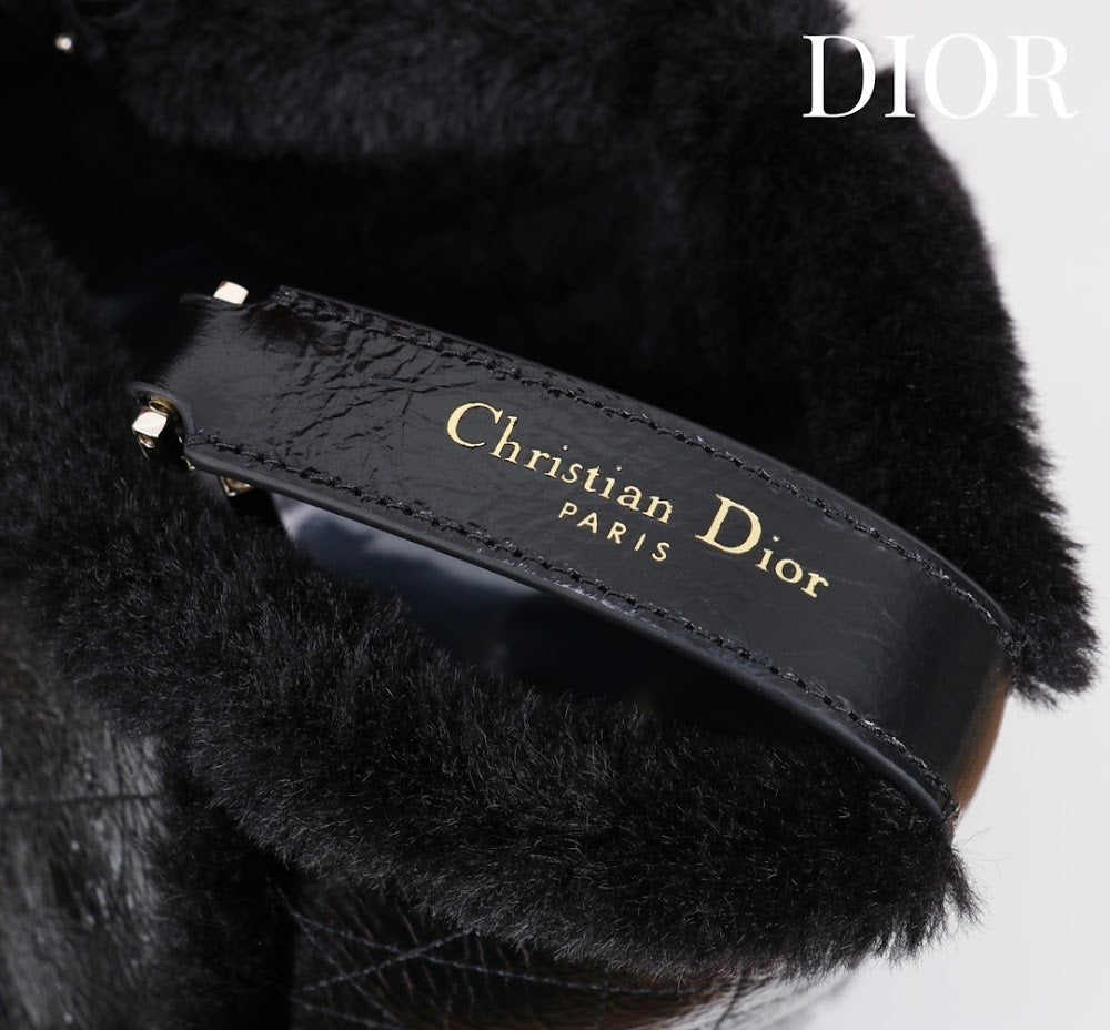 Dragons BagsDiorn Luxury Bag --116118