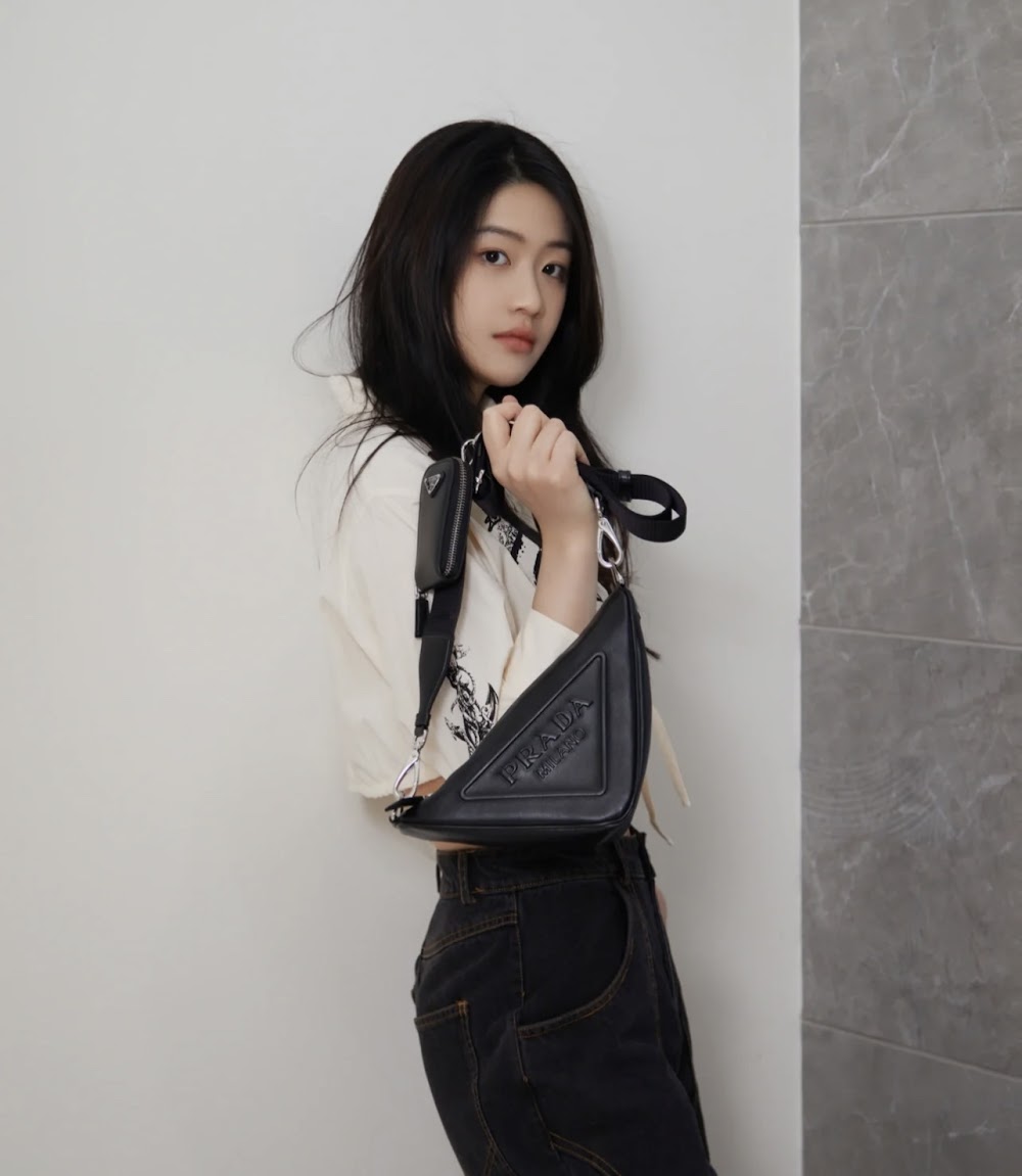 Dragons Bags Pradn Luxury Bag --102651