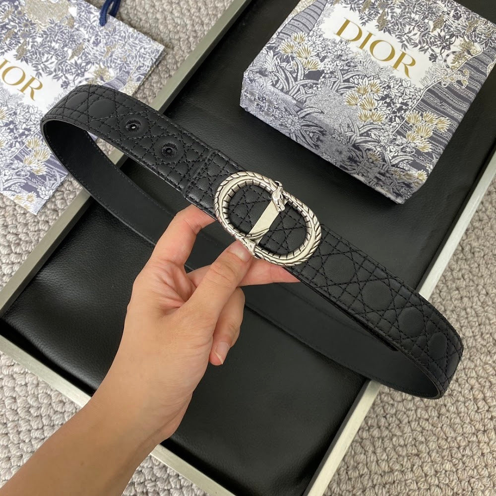 Dragons Bags Diorn Luxury Belt --107753