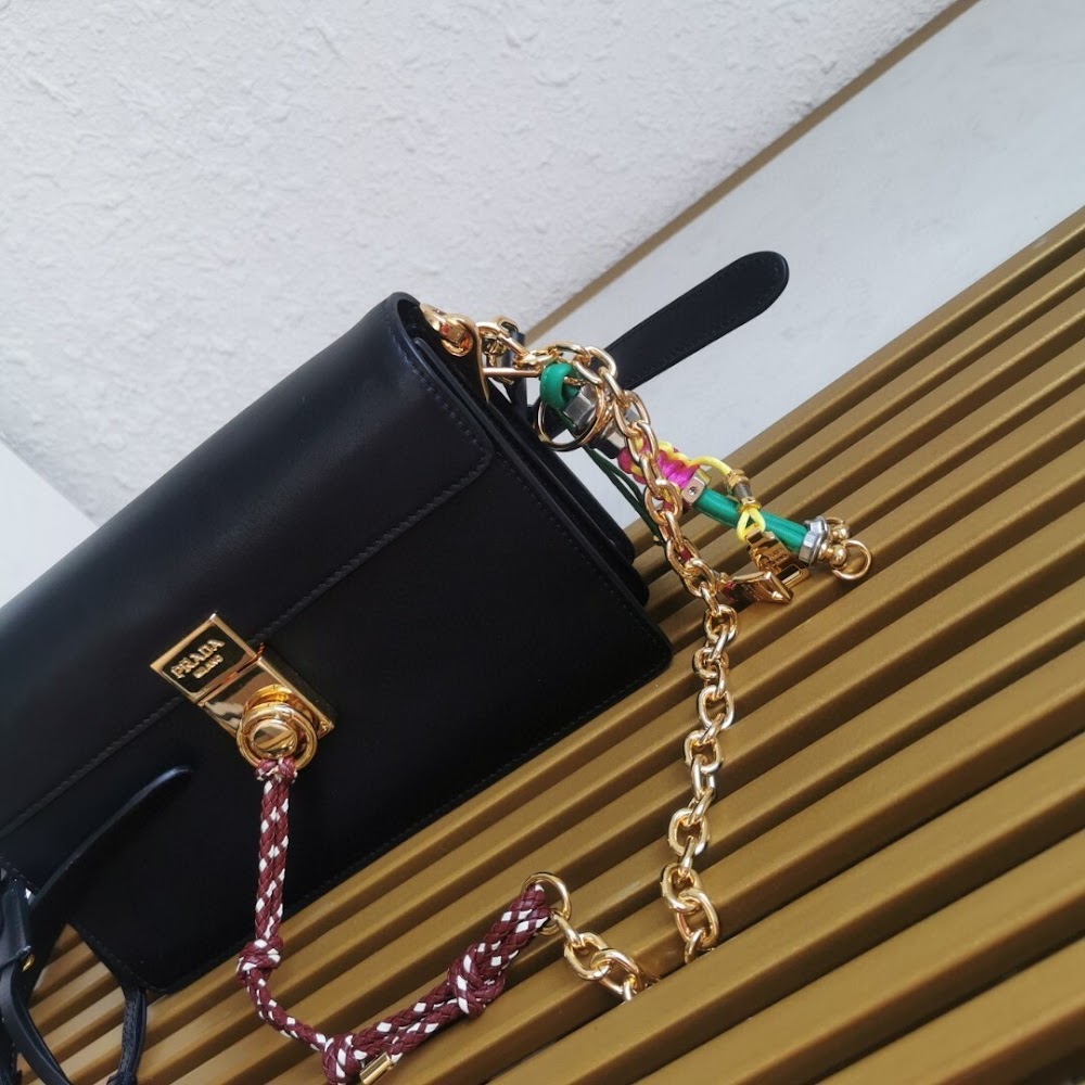 Dragons Bags Pradn Luxury Bag --101737