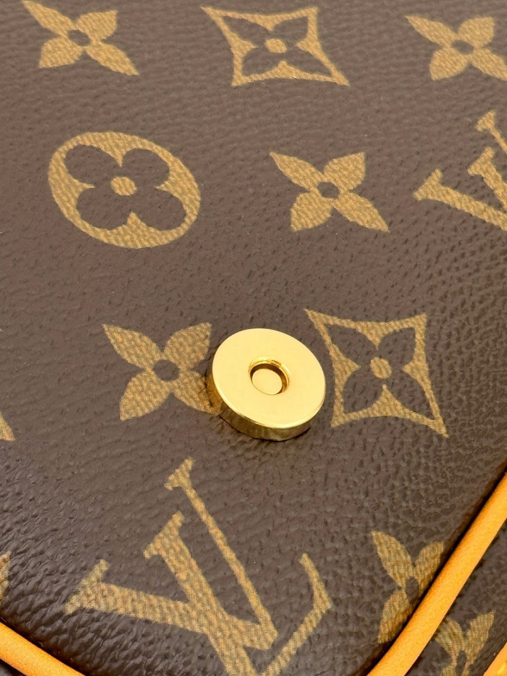 Dragons Bags ln Luxury Bag --96304