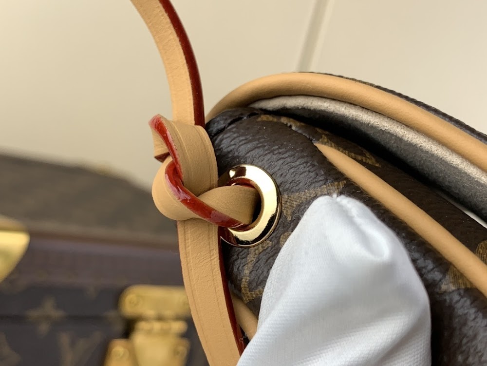 Dragons Bags ln Luxury Bag --61820