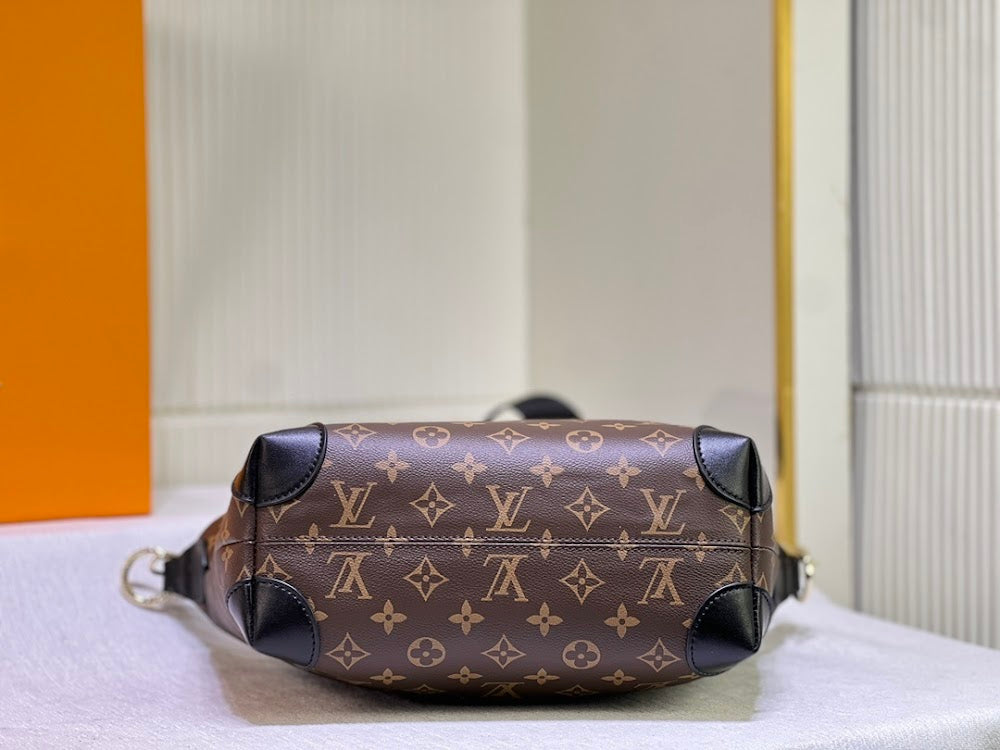 Dragons Bags LVn Luxury Bag --81267