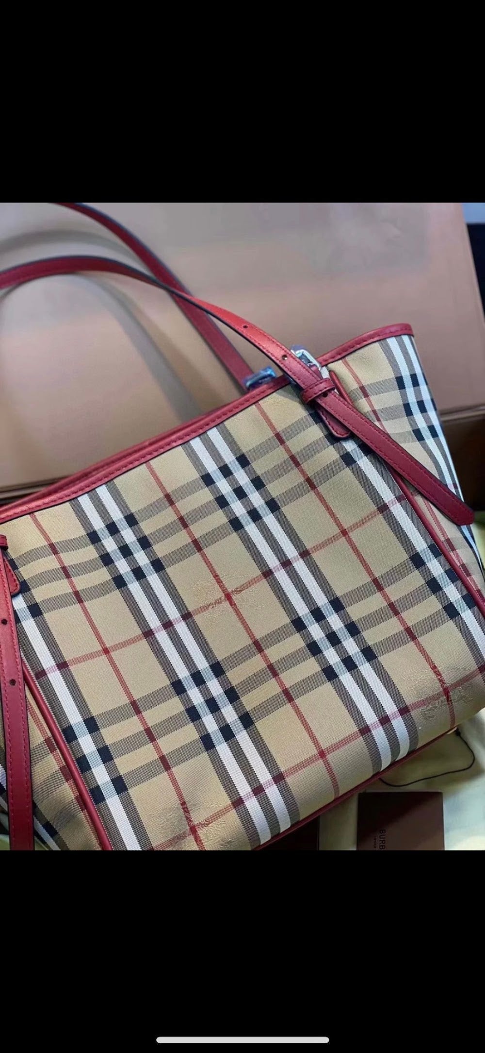 Dragons Bags Burberryn Luxury Bag --92017