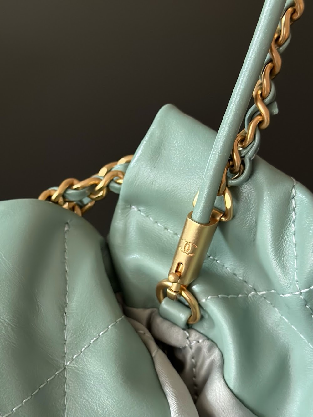 Dragons BagsCHn Luxury Bag --114419