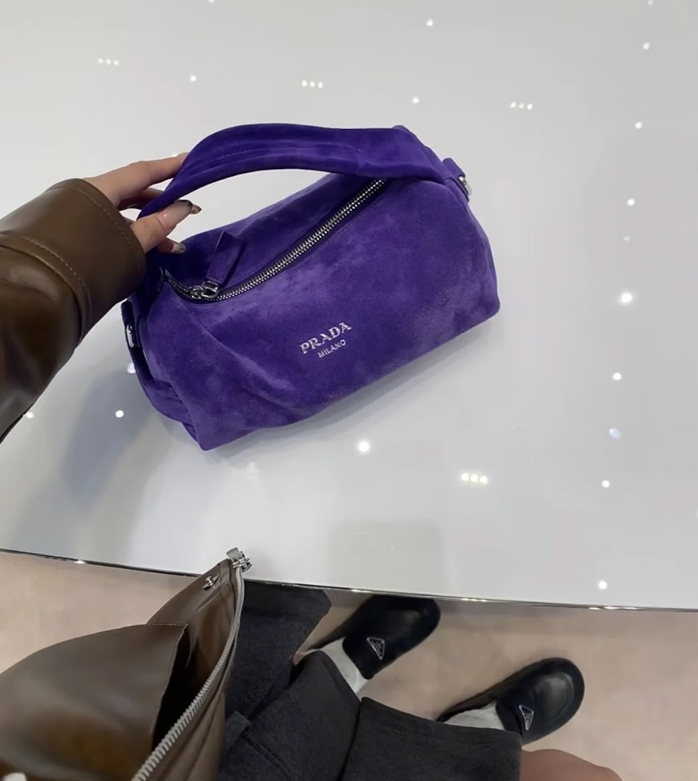 Dragons Bags Pradn Luxury Bag --101998