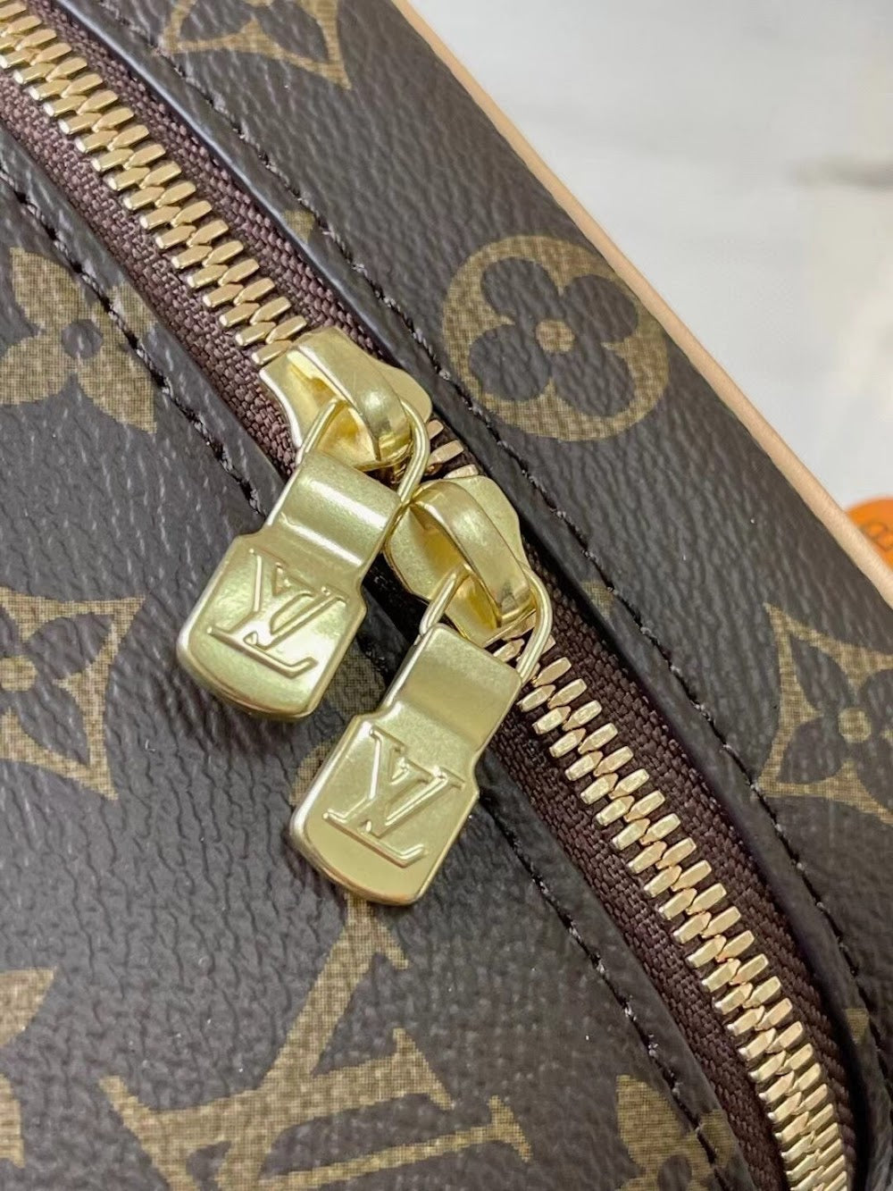 Dragons Bags ln Luxury Bag --81669