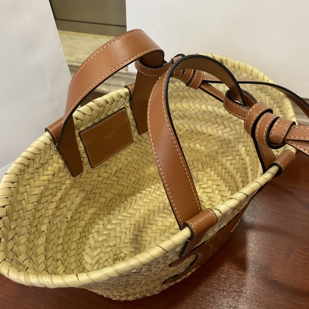 Dragons Bags Celine Luxury Bag --111980