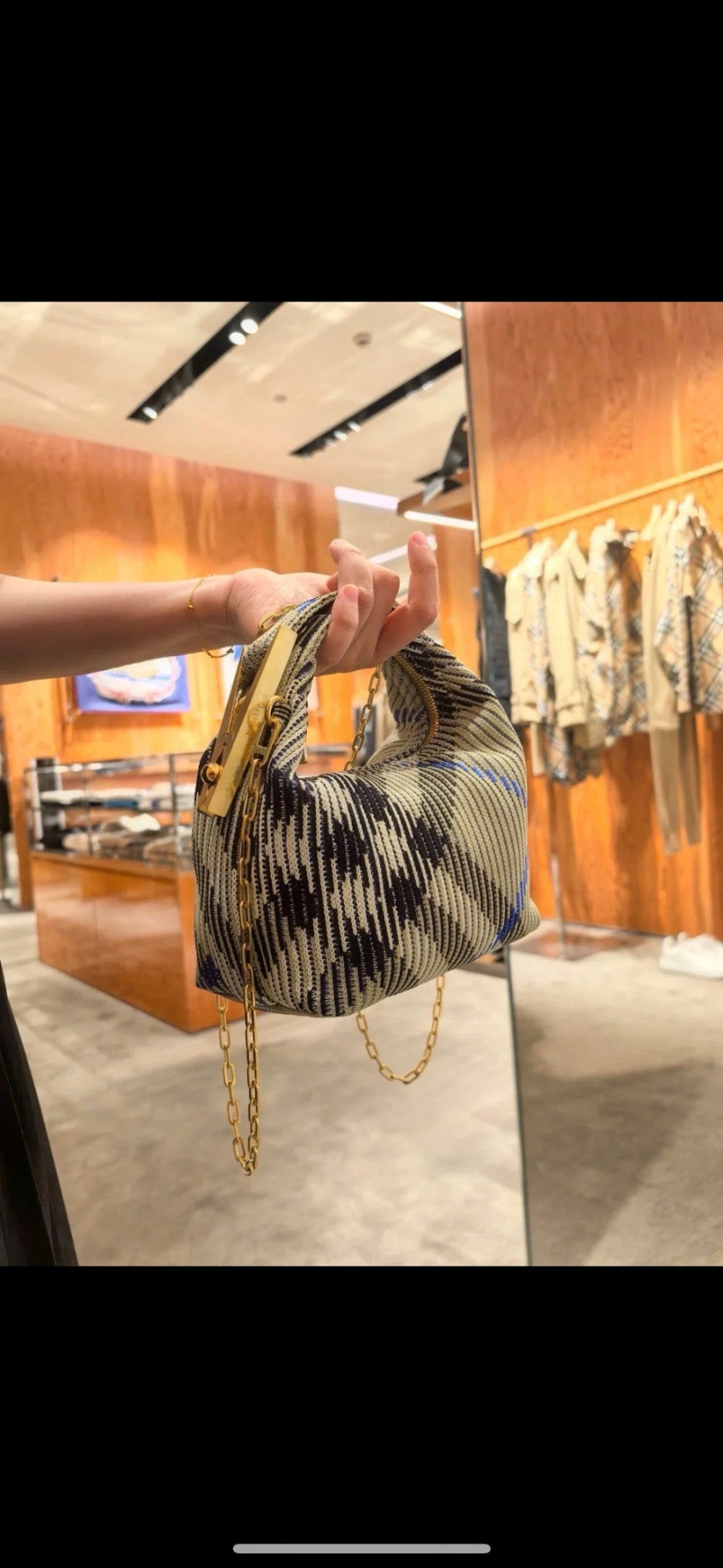 Dragons Bags Burberryn Luxury Bag --91594