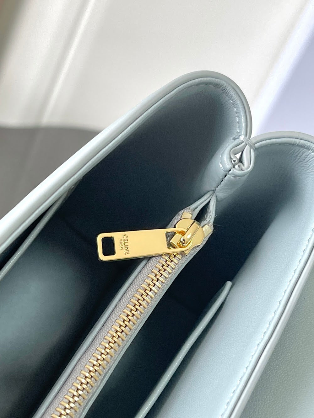 Dragons Bags Celine Luxury Bag --112585