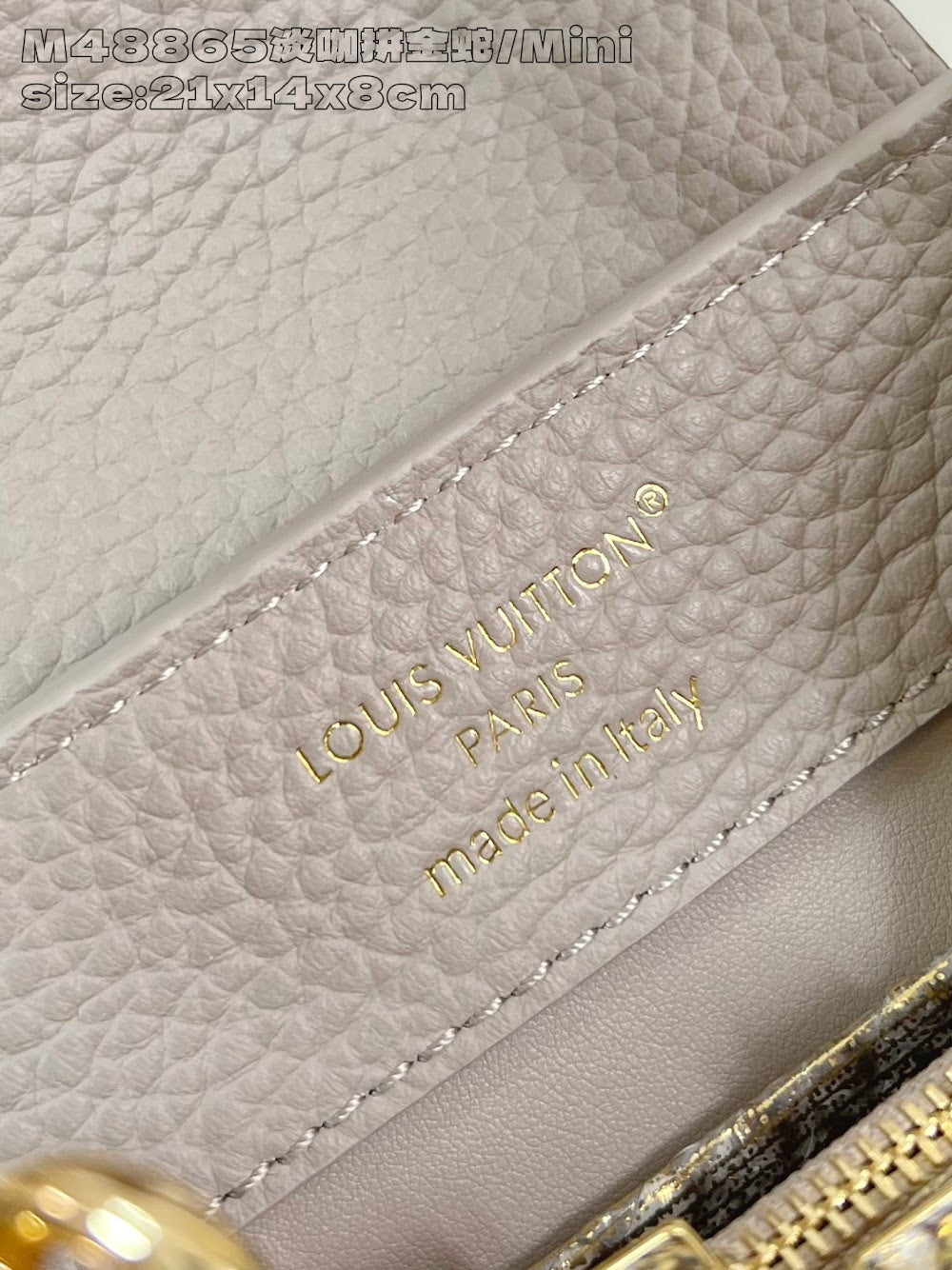 Dragons Bags ln Luxury Bag --95895