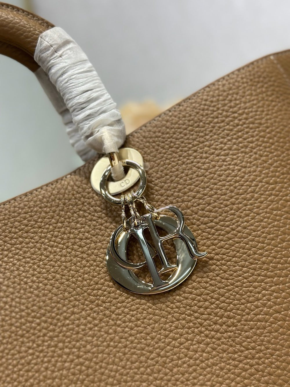 Dragons BagsDiorn Luxury Bag --115549