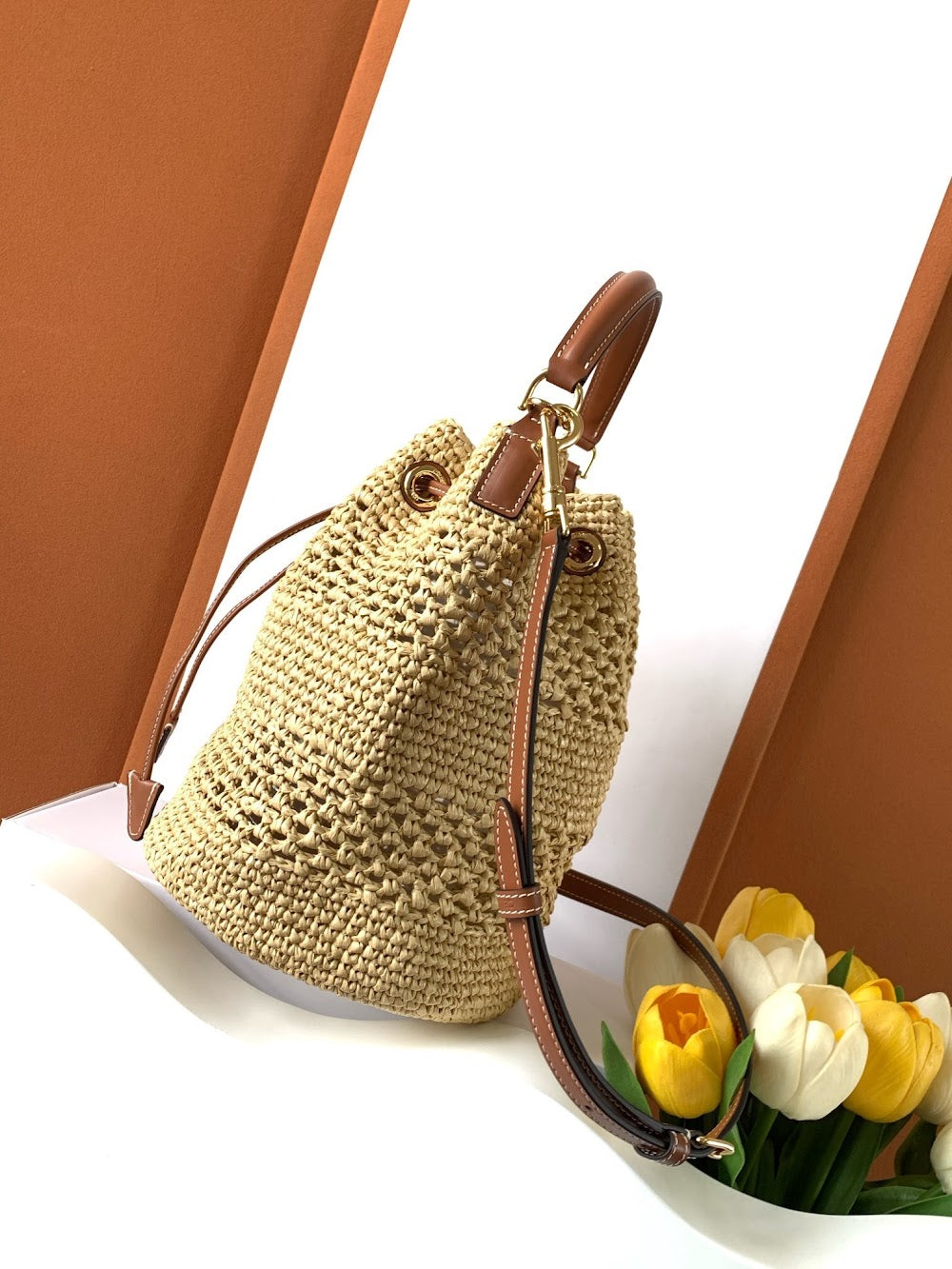 Dragons Bags Celine Luxury Bag --112064