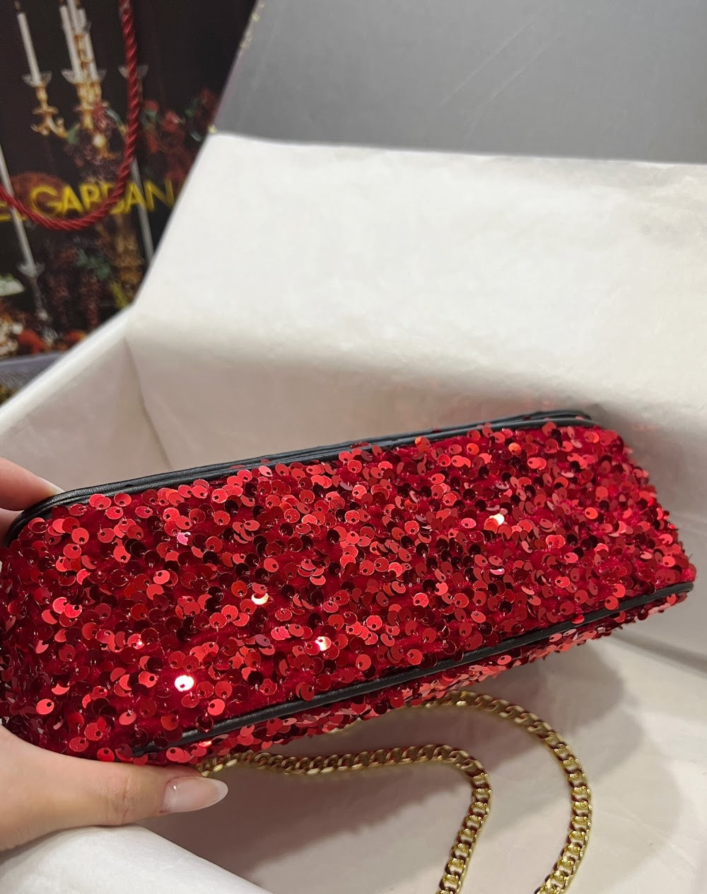 Dragons Bags DGn Luxury Bag --93336